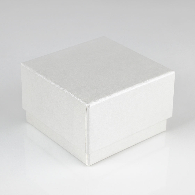 Hamlet 台灣製壓克力文鎮型放大鏡-5