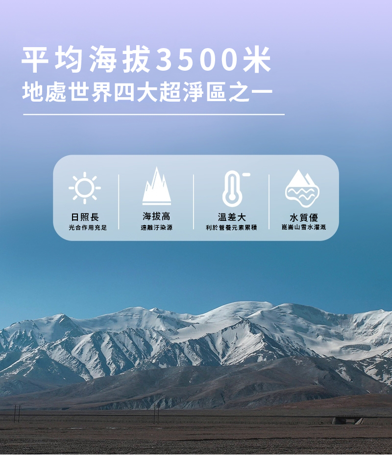 枸杞原汁-3