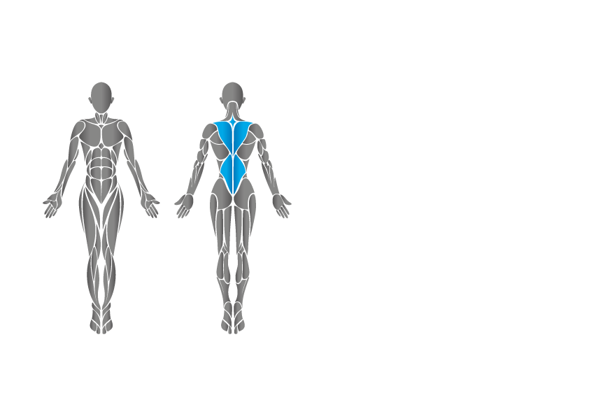 背部伸展AIR運動機 – 5320-2