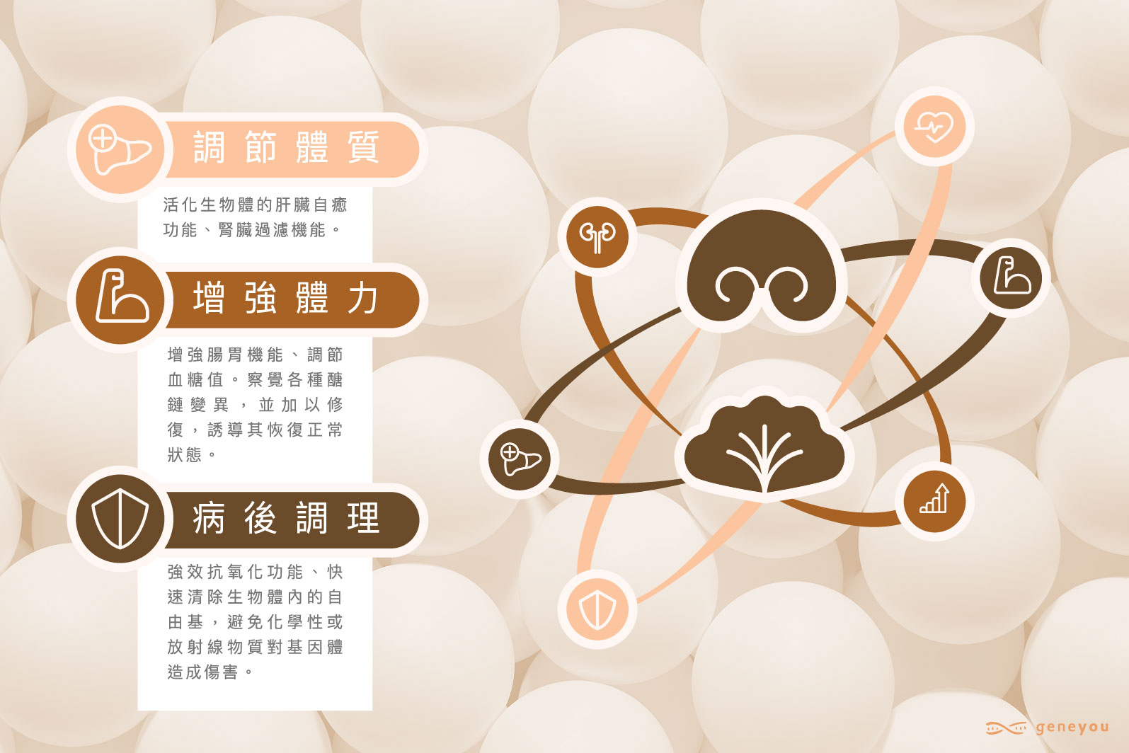 施博特醣力康-4