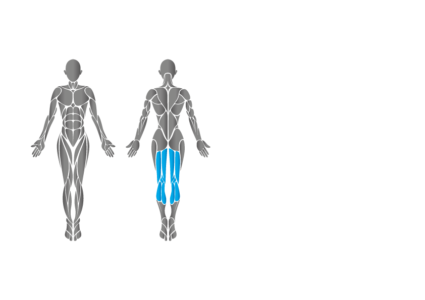 腿部伸屈AIR運動機 – 5530-3